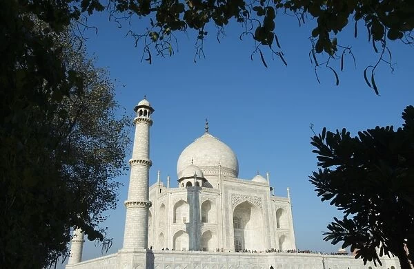 Facade of the Taj Mahal, Agra, Uttar Pradesh, India