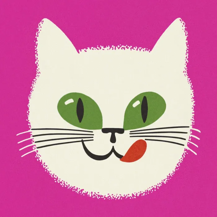Framed Print : Face of a Cat Framed Print : Face of a Cat
