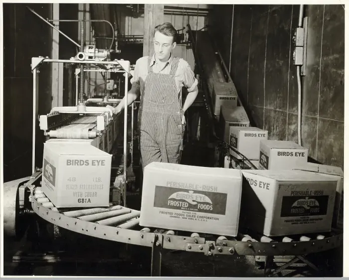 Framed Print : Factory Worker Watching a Conveyor Belt Framed Print : Factory Worker Watching a Conveyor Belt