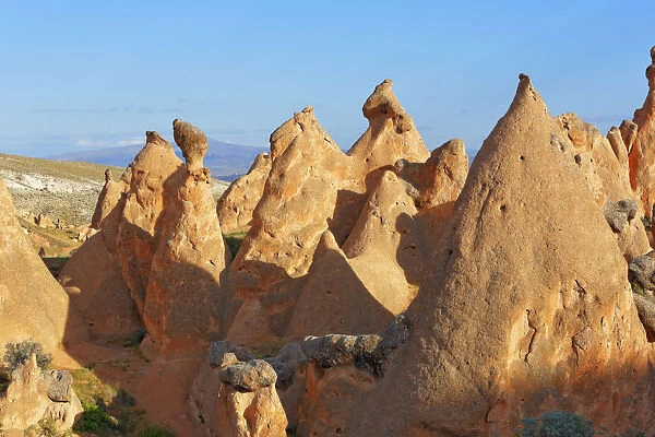 Fairy chimneys in Devrent Valley, Goreme National Park, Nevsehir Province, Cappadocia, Central Anatolia Region, Anatolia, Turkey