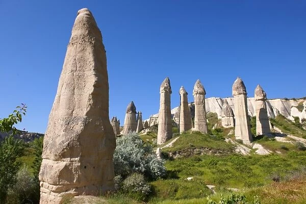 Fairy Chimneys in the Love Valley, Cappadocia, Central Anatolia Region, Turkey