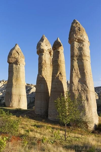 Fairy chimneys, phallus-shaped tufa formations, Love Valley, Goreme National Park, Cappadocia, Nevsehir Province, Central Anatolia Region, Turkey