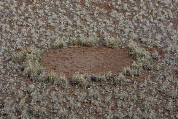 Fairy circle, vegetation-free circular barren patch of land, desert, Namib, Hardap Region, Namibia