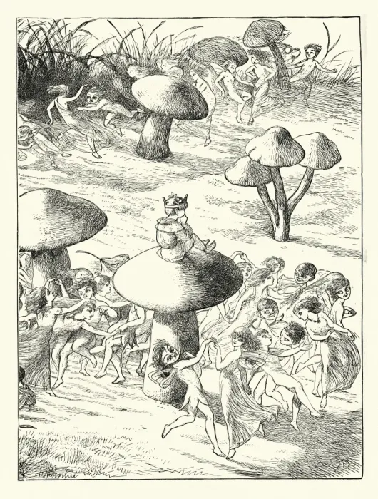 Framed Print : Fairy King sat on a toadstool Framed Print : Fairy King sat on a toadstool