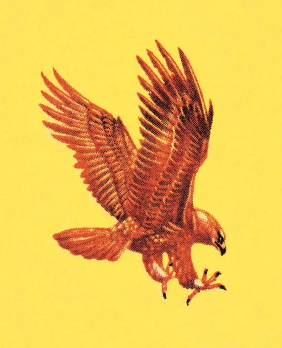 Framed Print : Falcon. http: / / csaimages.com / images / istockprofile / csa_vector_dsp.jpg Framed Print : Falcon. http: / / csaimages.com / images / istockprofile / csa_vector_dsp.jpg