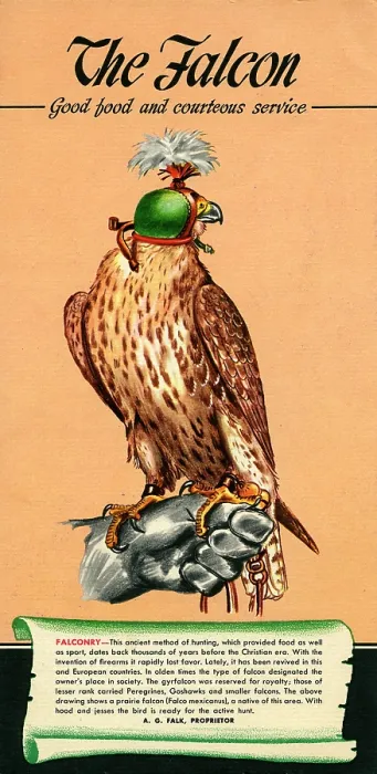 Framed Print : Falcon, The Framed Print : Falcon, The