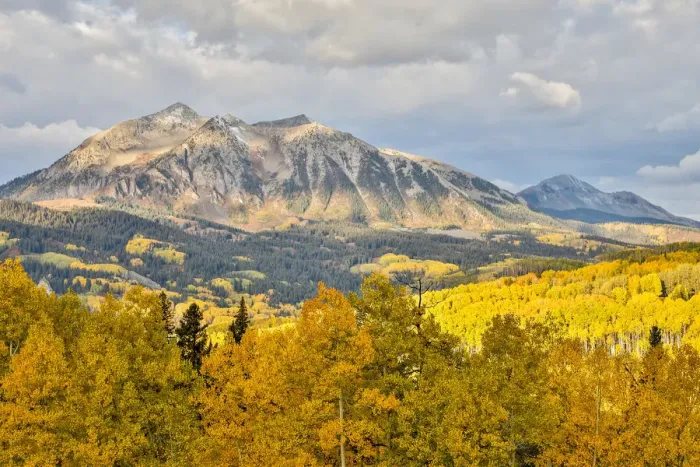 Framed Print : Fall colors at Kebler Pass, Crested Butte, Colorado, USA