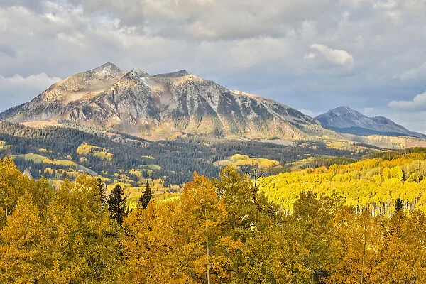 Fall colors at Kebler Pass, Crested Butte, Colorado, USA