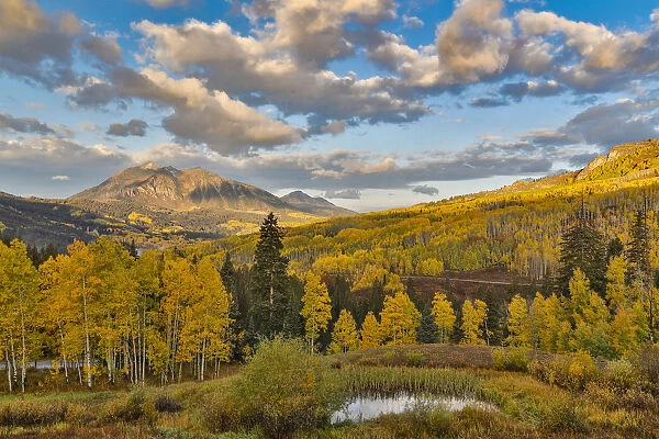 Fall colors near Kebler Pass, Crested Butte, Colorado, USA