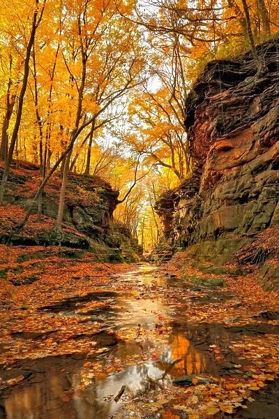 Fall colors at Pewits Nest Skillet Creek area Baraboo, Wisconsin