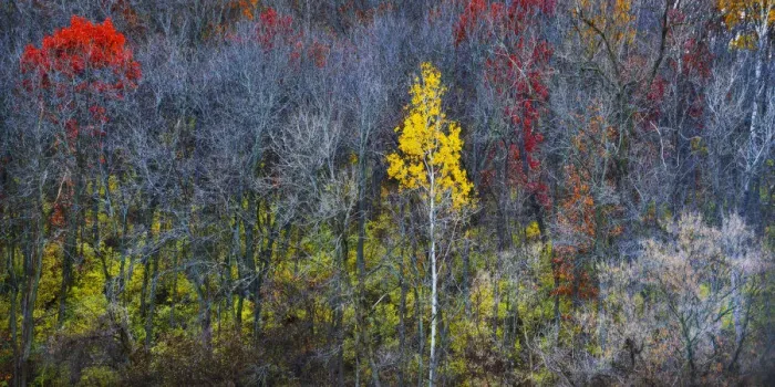 Framed Print : Fall colors in rural Wisconsin Framed Print : Fall colors in rural Wisconsin