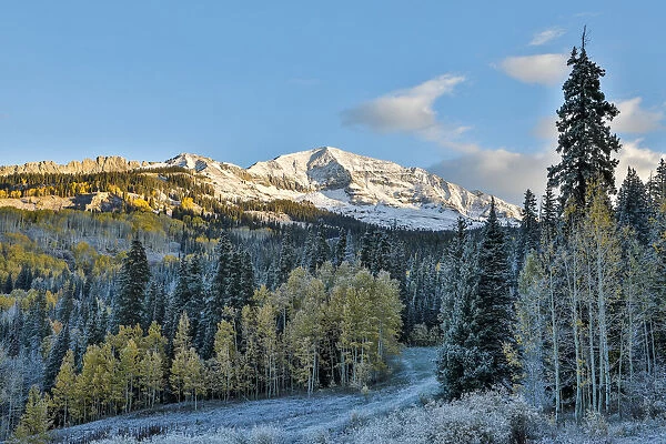Fall colors with Snow at Kebler Pass, Crested Butte, Colorado, USA