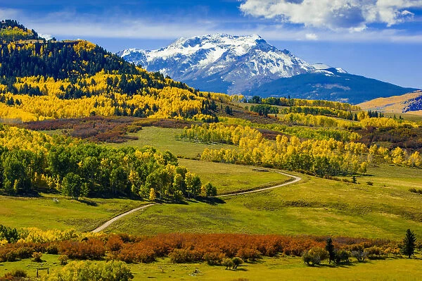 Fall colors, vista, San Juan Range, Colorado, USA