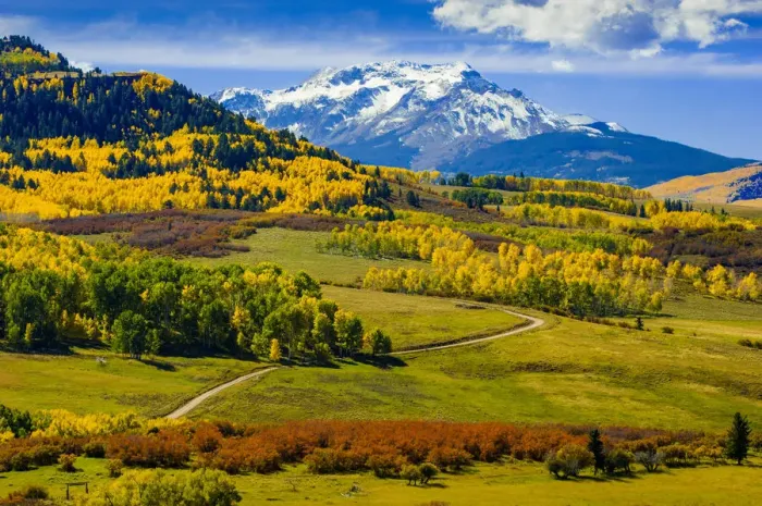 Framed Print : Fall colors, vista, San Juan Range, Colorado, USA Framed Print : Fall colors, vista, San Juan Range, Colorado, USA