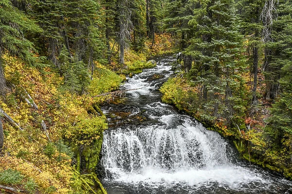 Fall Creek in Three Sisters Wilderness in autumn, Deschutes National Forest, Oregon, USA