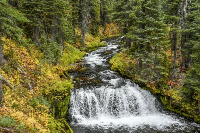 Framed Print : Fall Creek in Three Sisters Wilderness in autumn, Deschutes National Forest, Oregon, USA