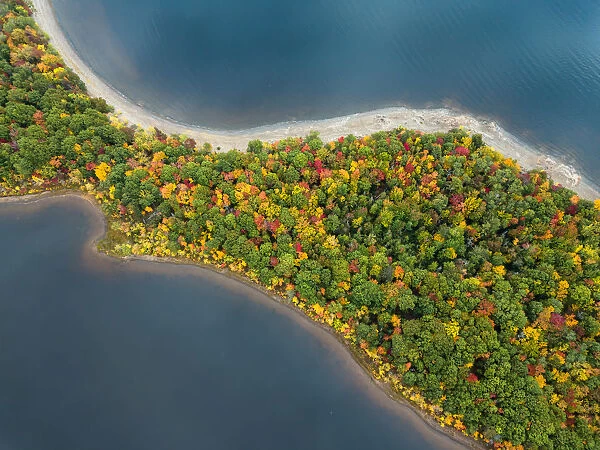 Fall foliage, Grand Lake, New Brunswick, Canada