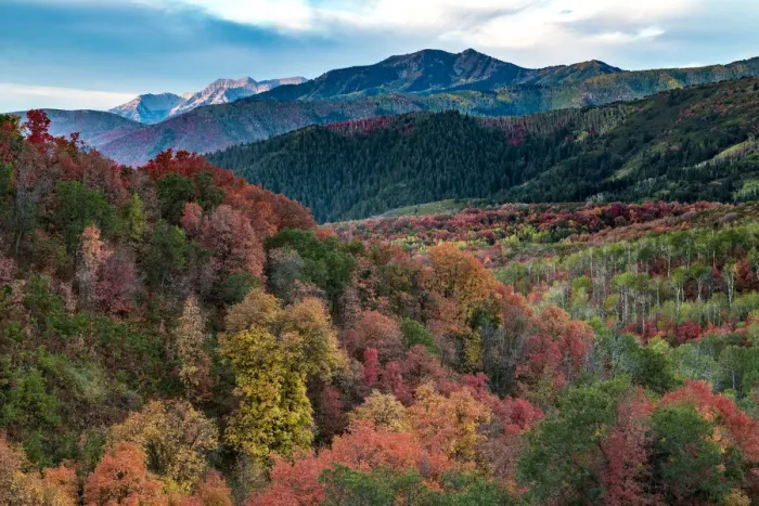 Framed Print : Fall foliage near Midway and Heber Valley, Utah, USA Framed Print : Fall foliage near Midway and Heber Valley, Utah, USA
