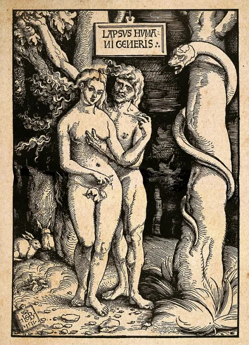 Framed Print : The Fall of Man, Adam and Eve with the serpent, after woodcut by Hans Baldung, German, 16th Century art Framed Print : The Fall of Man, Adam and Eve with the serpent, after woodcut by Hans Baldung, German, 16th Century art