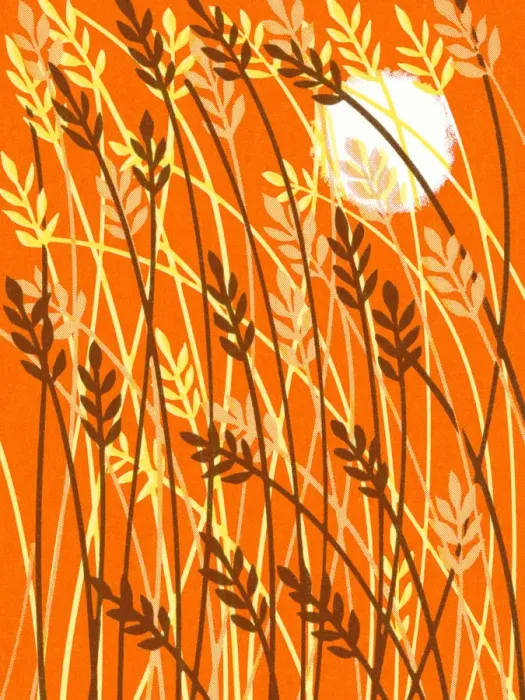 Framed Print : Fall Pattern Framed Print : Fall Pattern