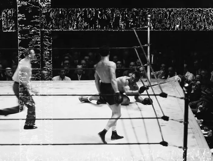 Framed Print : Fallen Primo Carnera Looks @Max Baer Framed Print : Fallen Primo Carnera Looks @Max Baer