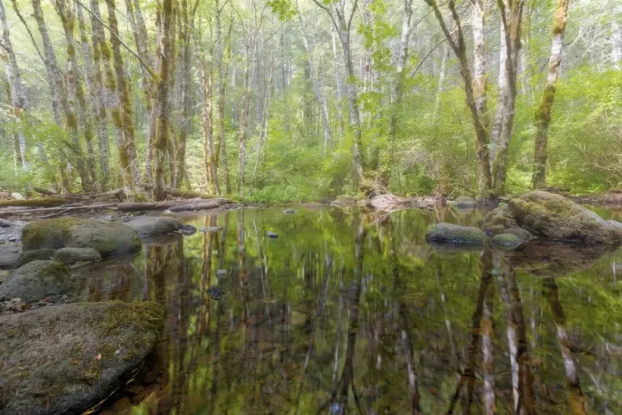 Framed Print : Falls Creek Reflection Framed Print : Falls Creek Reflection