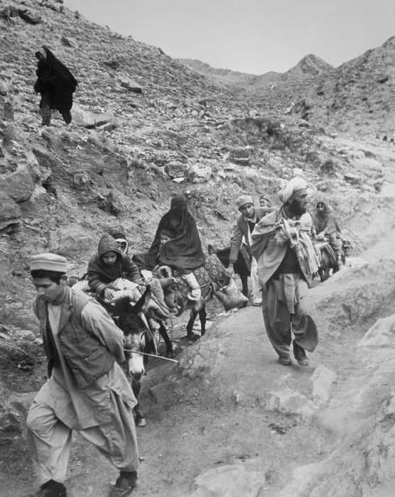 Framed Print : Family of Afghan Refugees Fleeing on Donkeys Framed Print : Family of Afghan Refugees Fleeing on Donkeys