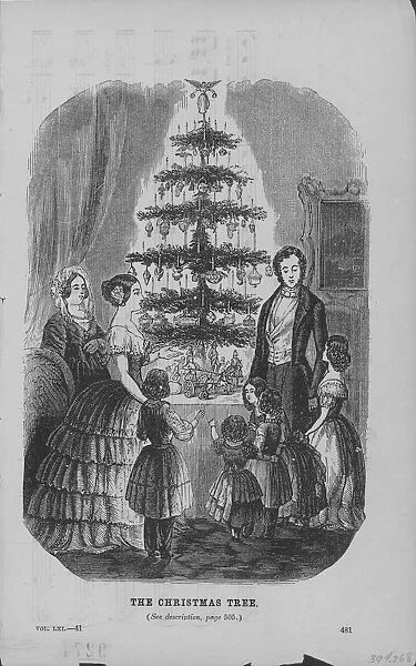 A Family And The Christmas Tree