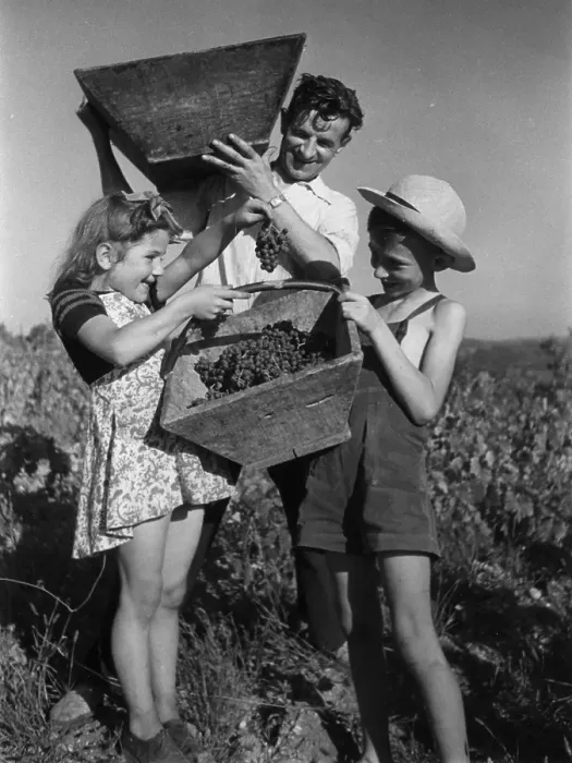 Framed Print : Family Grapes Framed Print : Family Grapes
