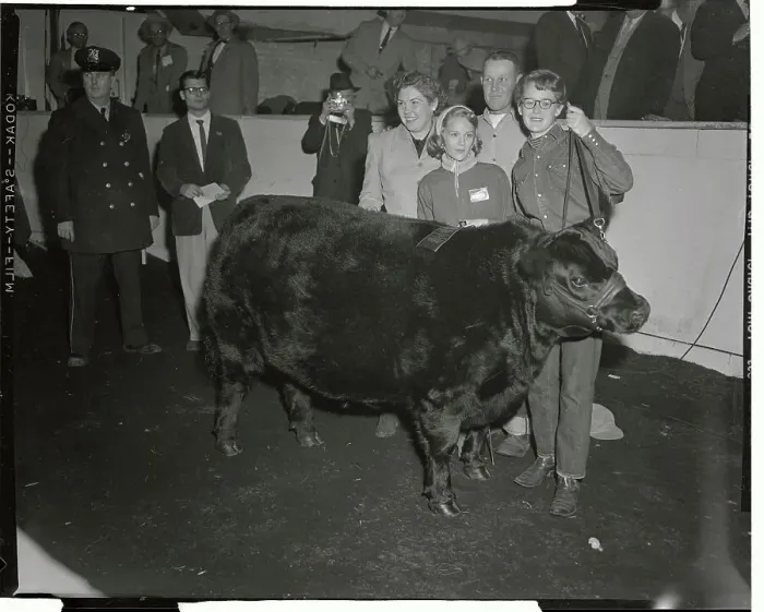 Framed Print : Family Members Posing with Their Prize Steer Framed Print : Family Members Posing with Their Prize Steer