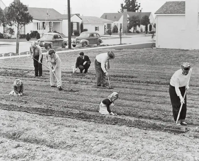 Framed Print : Family Working Outside in Garden Framed Print : Family Working Outside in Garden