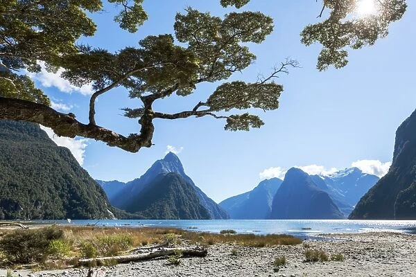 Famous Milford Sound in a sunny day with blue sky, New Zealand