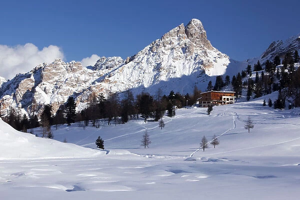 Fanesalm alp with Fanes hut in winter, Dolomites, South Tyrol, Italy, Europe