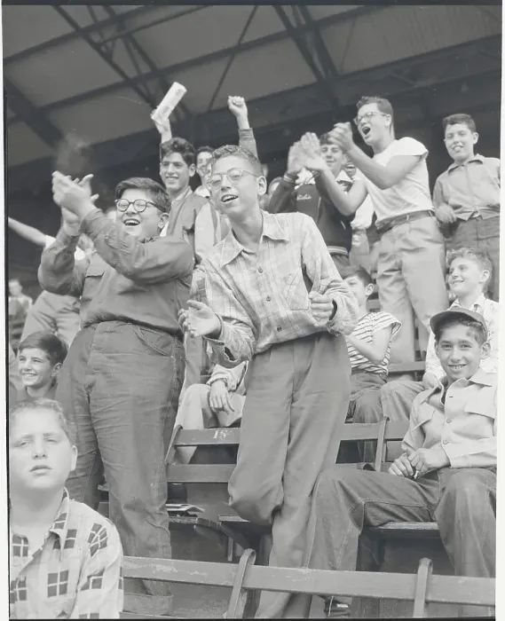 Framed Print : Fans Celebrating in Bleachers Framed Print : Fans Celebrating in Bleachers