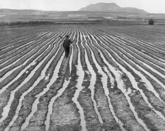 Framed Print : US Farm. A farm worker crossing an irrigated field Framed Print : US Farm. A farm worker crossing an irrigated field