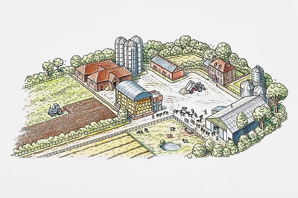 Farm buildings, farmyard and fields