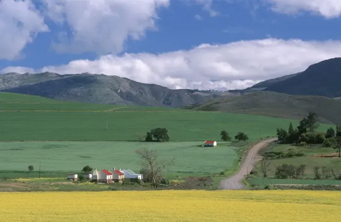 Framed Print : Farm Cottages and Rolling Green & Yellow Fields