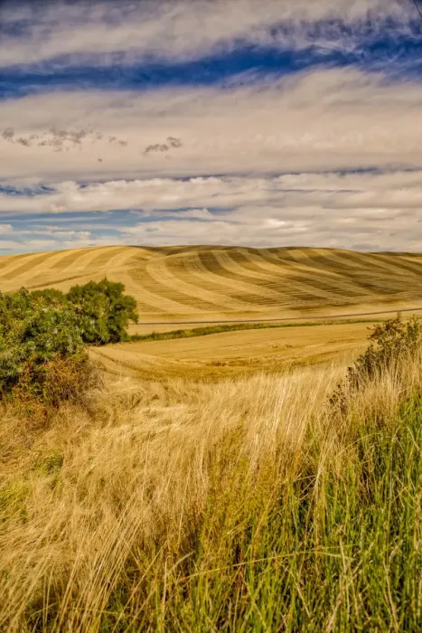 Framed Print : Farm country landscape, Pullman, Colorado, USA Framed Print : Farm country landscape, Pullman, Colorado, USA