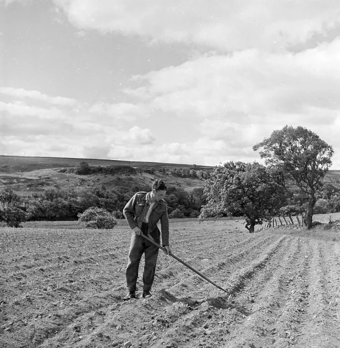 Framed Print : Farm Labourer Framed Print : Farm Labourer