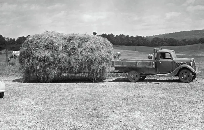 Framed Print : Farm scene Framed Print : Farm scene