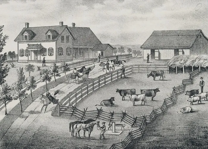 Framed Print : Farm Scene with Farm Animals Framed Print : Farm Scene with Farm Animals