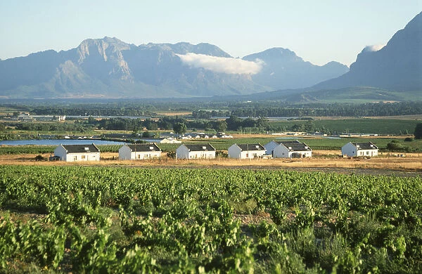 Farm Workers Cottages with Mountains in the Background
