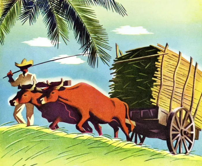 Framed Print : Farmer and Cattle Pulling a Cart Framed Print : Farmer and Cattle Pulling a Cart