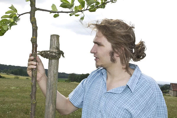 Farmer examining a young fruit tree