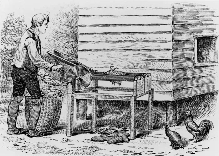 Framed Print : Farmer Loads Corn Into Corn Husking Machine Framed Print : Farmer Loads Corn Into Corn Husking Machine