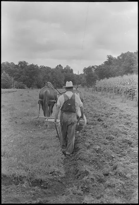 Framed Print : Farmer Plowing Field Framed Print : Farmer Plowing Field