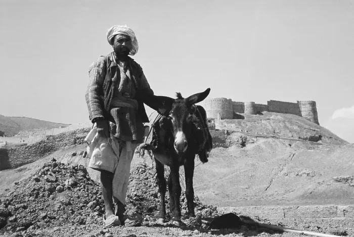 Framed Print : Farmer Posing with His Donkey Framed Print : Farmer Posing with His Donkey