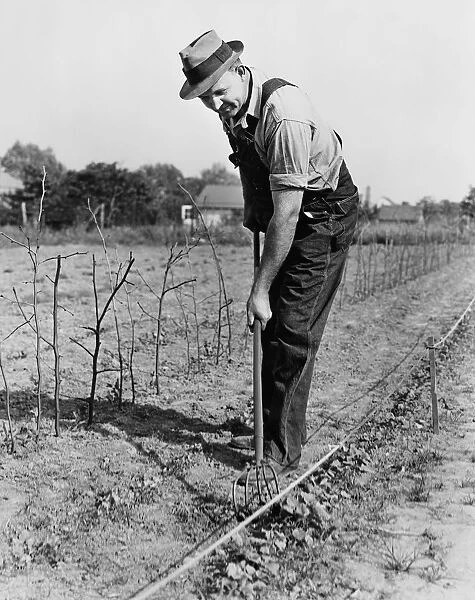 Farmer tilling soil on farm