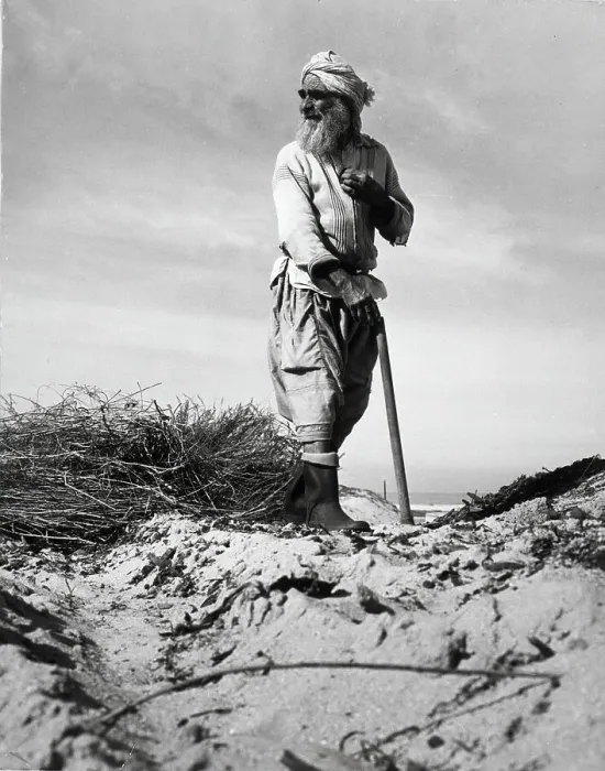 Framed Print : Farmer Works Arid Israeli Soil Framed Print : Farmer Works Arid Israeli Soil