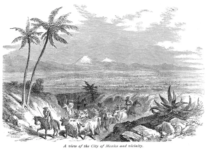 Framed Print : Farmers and cattle Mexico engraving 1875 Framed Print : Farmers and cattle Mexico engraving 1875